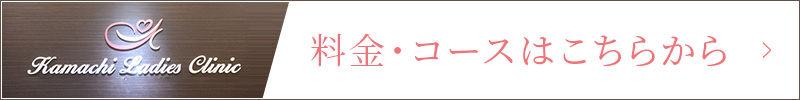 料金・コースはこちらから